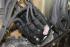 Motor komplett, 2,3 ST, Sport, MFI, 248 PS/ 238 Nm, "Drowning Man" 
